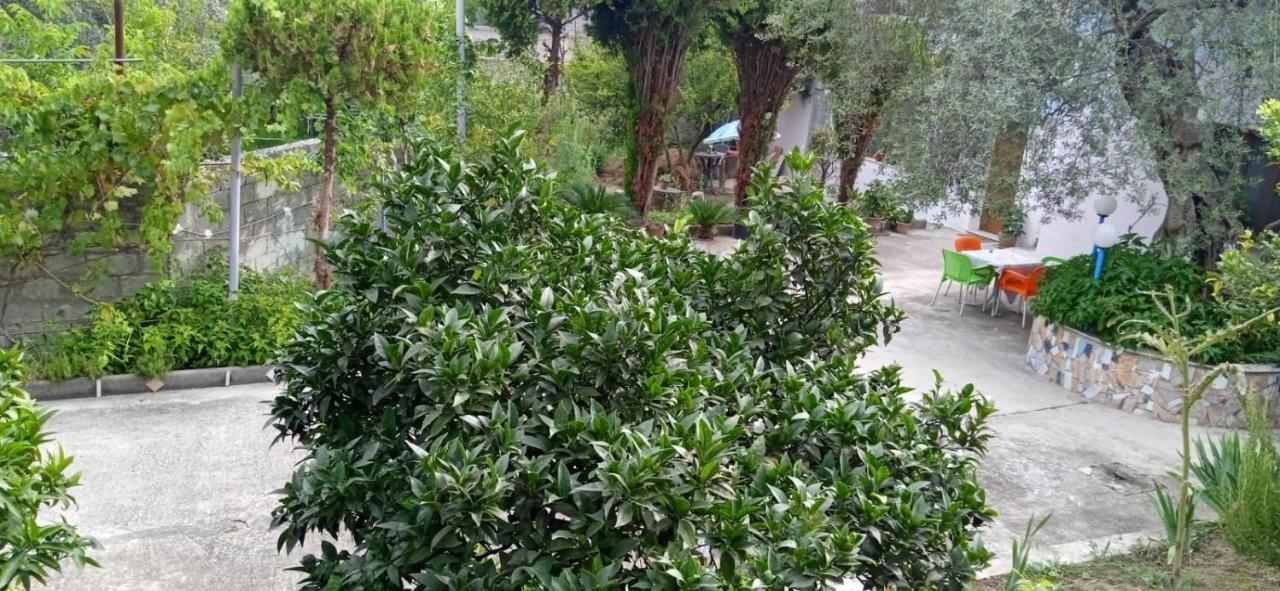 Green Oasis Holiday Home Vlorë Exterior foto